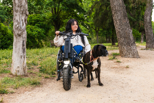 Wheelchair user with boxer dog walking in park with electric handbike