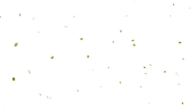 falling green leaves on alpha channel, 4k loopable overlay. natural green leaf falling, organic leaves floating animation on white background.