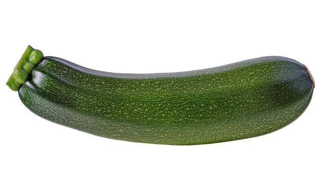Single dark green zucchini with textured skin, isolated on transparent background
