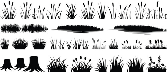 Black silhouettes of cattails grass and tree stumps © MDSHAHIN