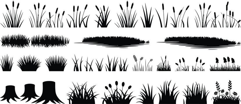 Black silhouettes of cattails grass and tree stumps