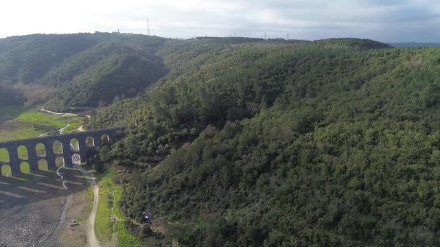 Cinematic aerial view of a steep lush green hillside covered in thick forest and tropical vegetation.