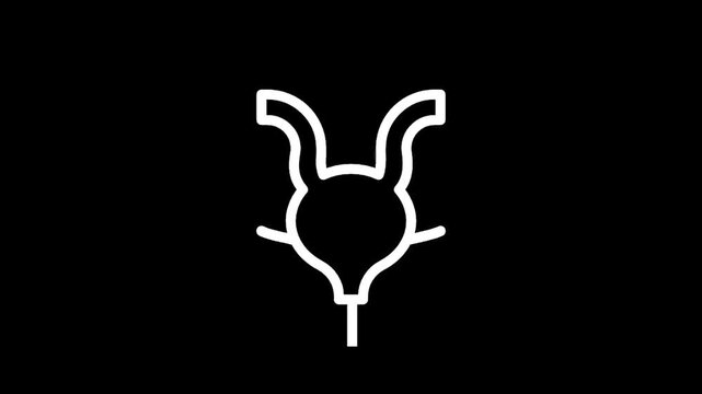 Stylized white outline of the human urinary bladder and ureters on black background