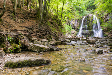 Obraz premium Scenic waterfall in lush green forest with rocky riverbed in summer morning in Bavaria Germany 