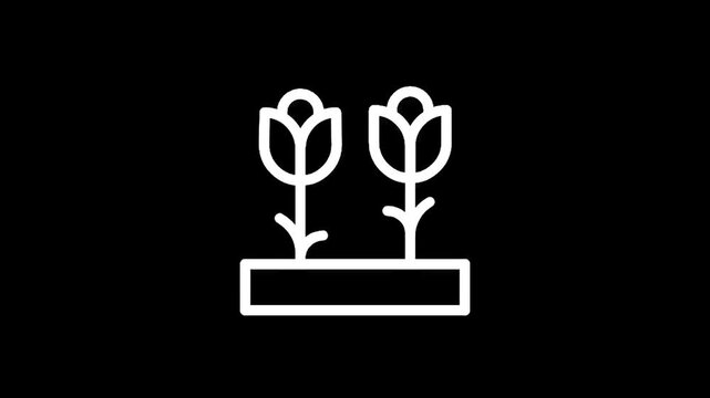 Simple line art icon of two tulips growing in a planter box on a black background