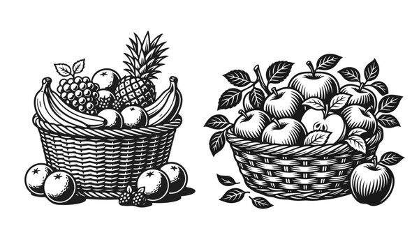 Woven fruit basket with tropical pineapple. Detailed harvest set, organic apples composition, natural products group. Black and white vector engraving art