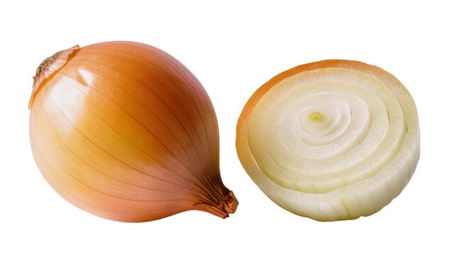Whole yellow onion and its cross-section showing concentric rings, isolated on transparent background