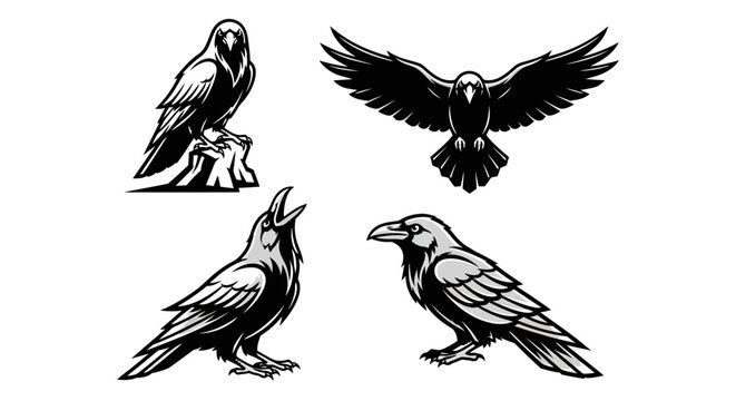 Four Raven Illustrations - Perched, Flying, and Calling Designs.