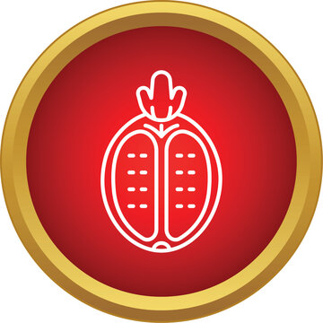 Passion fruit icon representing exotic tropical food