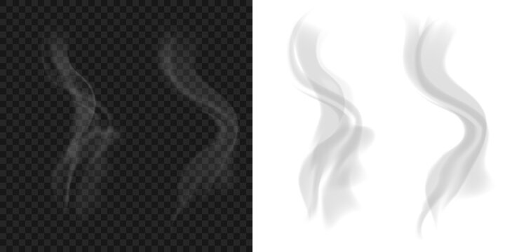 White and gray smoke on PNG background. Realistic smoke steam waves from hot food and cigarettes. Fog and mist effect collection isolated on transparent background for professional design.