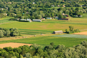 Fototapeta premium Aerial view of farm fields during summer in the Connecticut River valley in Massachusetts