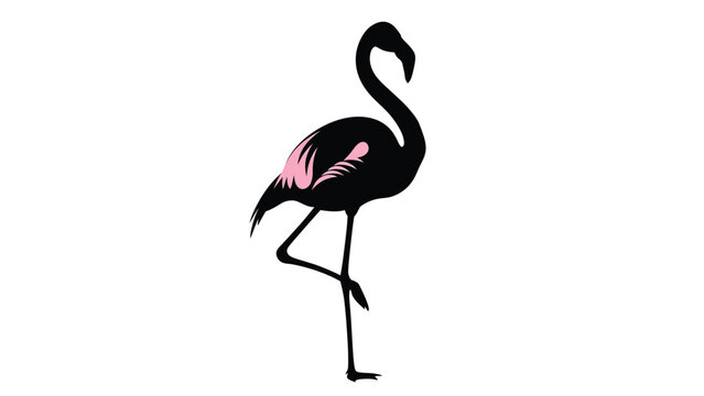 Black silhouette of a standing flamingo with pink wing feathers isolated on a white background