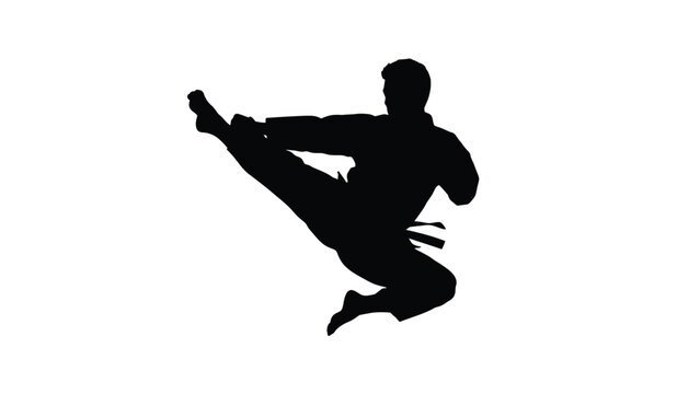 Martial artist performing a powerful flying side kick in a sharp black and white silhouette form
