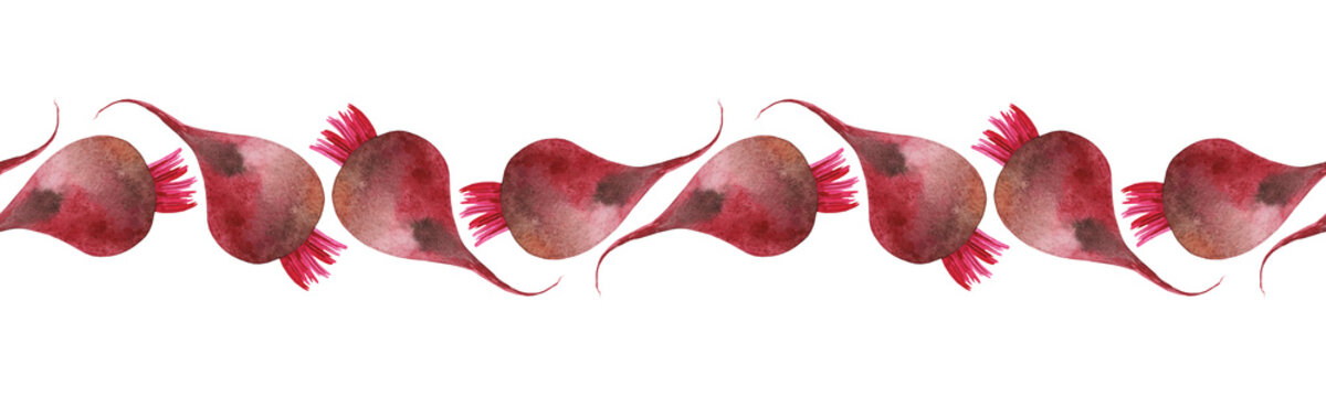 Watercolor beets seamless border on white background. Hand drawn food illustration. Can be used for menu, greeting cards, banners, templates.
