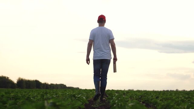 Agriculture, Man with electronic device in field, Crop technology on the farm, Rural man adapts modern tech, Agricultural progress via gadgets, Farmer implementing smart farming, Using tablets for