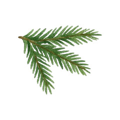 Fototapeta premium Watercolor green Christmas tree branch. Holiday decor, hand drawn, isolated on white for holiday decor. 
