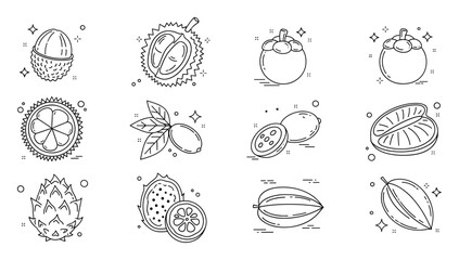 Obraz premium Exotic tropical fruit line icons featuring lychee durian mangosteen kumquat dragon fruit star fruit and cacao pod perfect for healthy food menus recipe books and nutrition websites