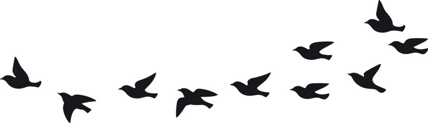 Fototapeta premium Bird silhouettes flying in sky formation, flock movement, freedom and migration concept, nature wildlife scene with peaceful aerial composition