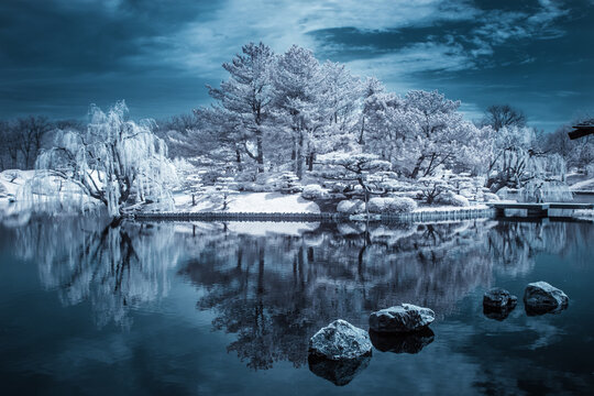 Infrared Forested Island reflected in a lake, Chicago Botanic Gardens, Chicago, Illinois, USA