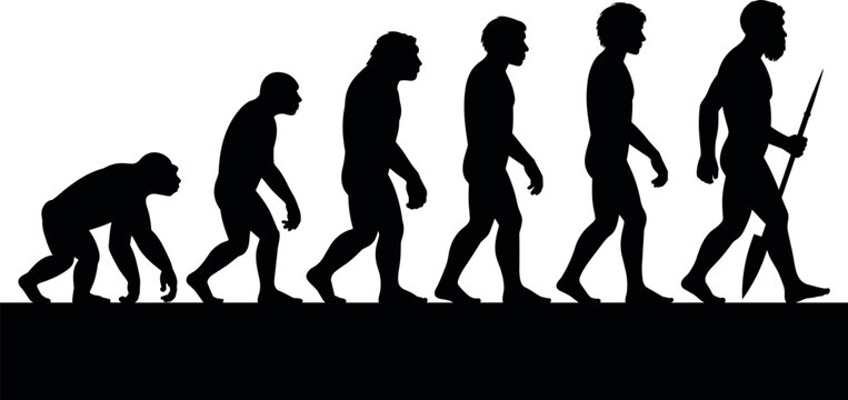 Human evolution silhouettes from ape to primitive man with spear, progression concept showing development, early survival tools and transformation of mankind