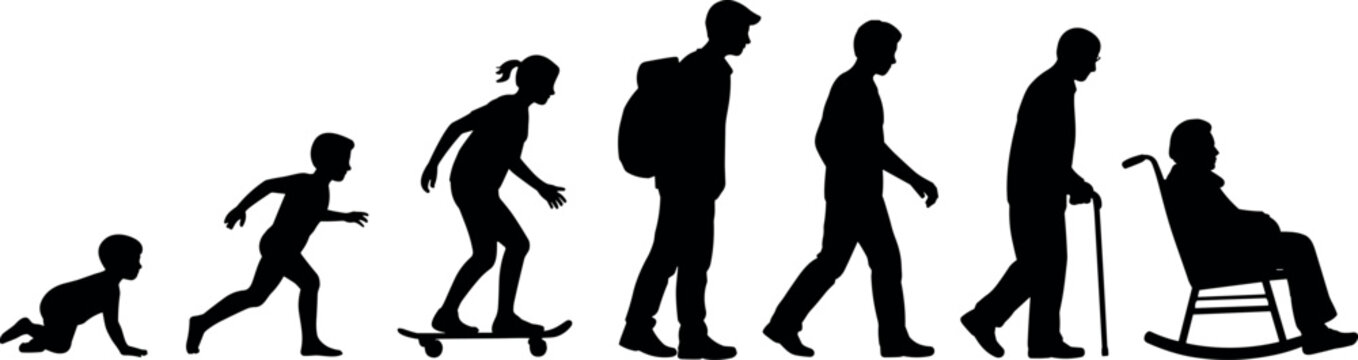 Human life cycle silhouettes from baby to elderly, stages of growth and aging, development concept showing childhood, adulthood and senior life journey