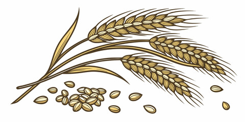 A delicate butterfly with orange and black patterned wings perched on vegetation © AC