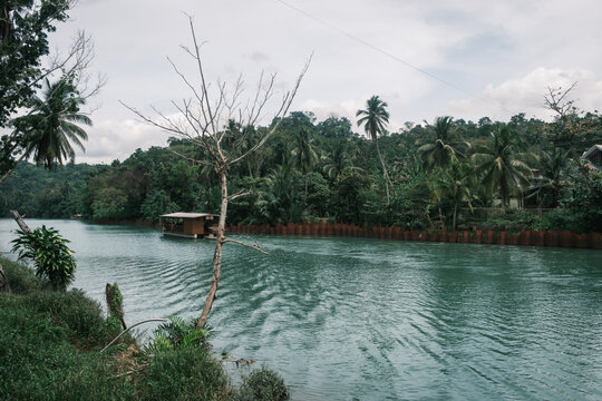 Floating restaurant boat navigating the lush tropical Loboc River on Bohol Island, Philippines. Scenic jungle cruise showcasing dense green vegetation and Southeast Asian ecotourism