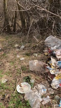 garbage in the forest. garbage in the park. garbage on the road. natural landfills. Ukrainian landscapes 4k. garbage in the environment