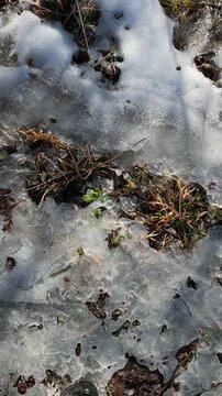 Ukrainian landscapes 4k. on a walk in the forest. melting snow in the forest. melting snow in the spring
