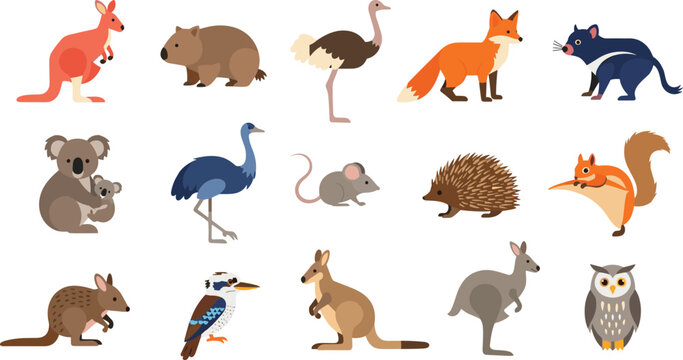 Australian Wildlife Animal Character Set Featuring Kangaroo Koala Wombat Emu Dingo Platypus and Native Fauna Cartoon Illustration Collection