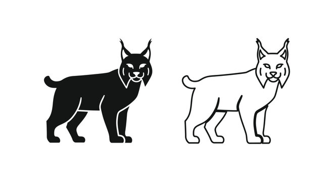 Lynx Cat Silhouette Comparison Guide Vector