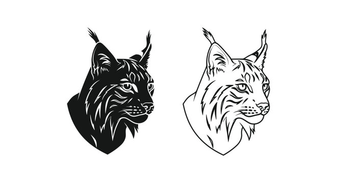 Lynx Animal Sketch Designs Vector Art Vector