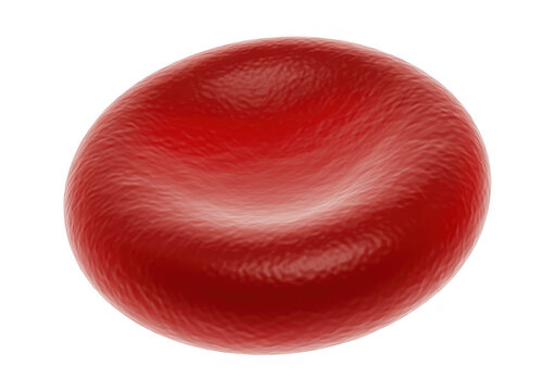 Single red cell, erythrocyte, isolated on a white background, microscopic biological view isolated on a transparent background
