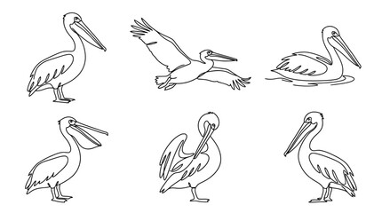 Obraz premium pelican , six black Continuous Line Art (Single Line) vector set collection , white background , PNG and SVG