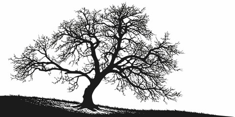 Bare tree with intricate branches against a plain background © Bf