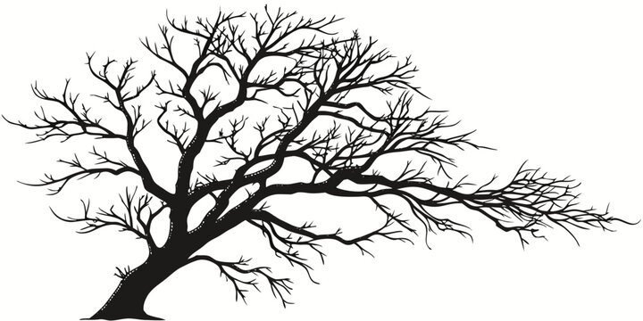 A bare-branched deciduous tree against a stark night sky