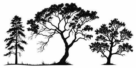 A solitary tree stands tall against a clear sky © Bf