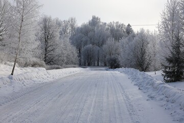 Fototapeta premium winter countryside road with snowbanks trees and cold soft daylight atmosphere