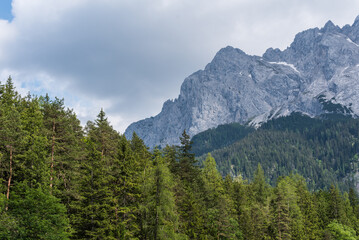 Fototapeta premium Massive grey rock face of Waxenstein mountains with dark green forest in summer 