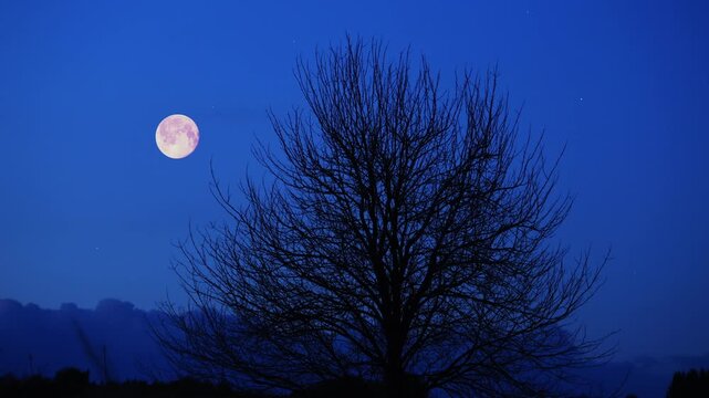 Full Moon, stars and planets above landscape silhouettes.