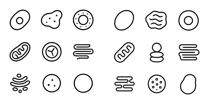 Cell organelle icons showing cellular components on white background