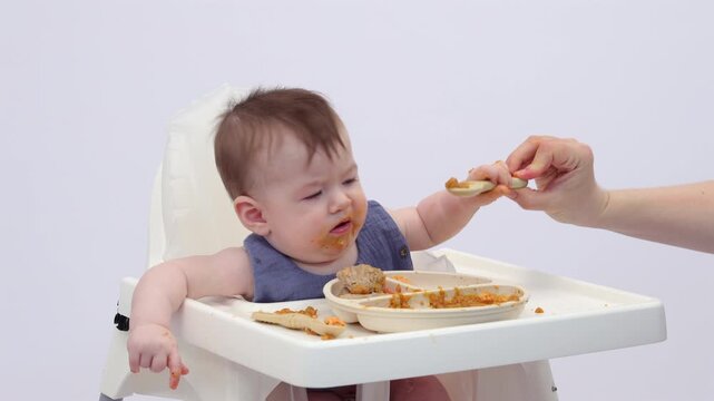 White background. A little girl in a high chair, picking and eating food from a sectioned plate with her fingers. The concept of weaning is based on the principle of "child-choosing food