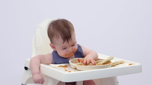 White background. A little girl in a high chair, picking and eating food from a sectioned plate with her fingers. The concept of weaning is based on the principle of "child-choosing food