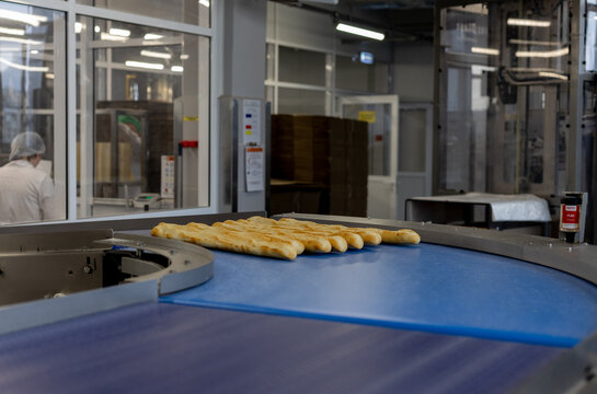 Industrial bakery conveyor with fresh baguettes production line