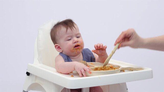 White background. A little girl in a high chair, picking and eating food from a sectioned plate with her fingers. The concept of weaning is based on the principle of "child-choosing food