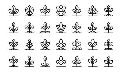 Collection of vectors showcasing various types of plants and seedlings. © Richol