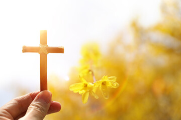 The Cross of Jesus Christ and beautiful forsythia spring background, Passion Week and Easter concept 