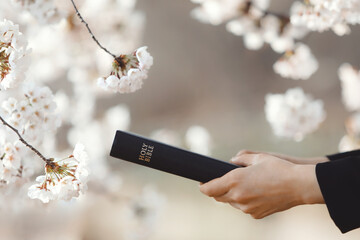 A Christian sharing the Gospel while holding a Bible, evangelism concept with a beautiful cherry blossom background. 