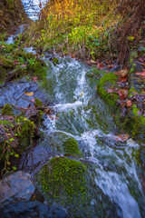 Fototapeta premium Silky Forest Waterfall with Mossy Stones and Autumn Leaves in Nature with copy space