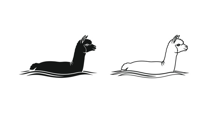 Llama vs Alpaca Swimming Comparison Guide Vector
